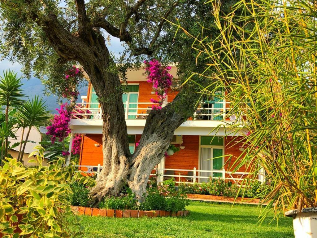 Hotel Jon Dhermi Ngoại thất bức ảnh